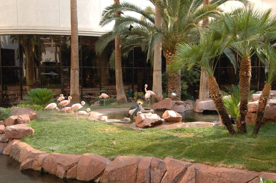 Flamingo casino las vegas jobs