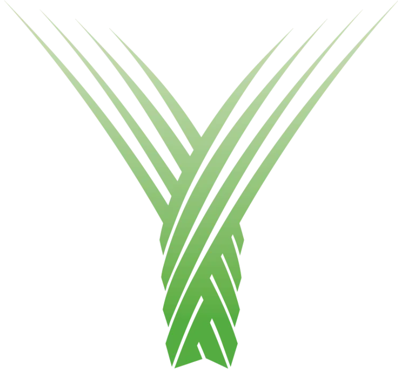Logo for Yaamava’ Resort & Casino at San Manuel