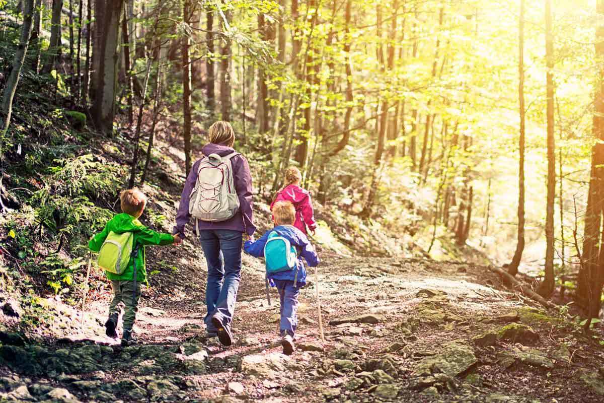 The Arbor Day Foundation, Nebraska City, NE Jobs Hospitality Online