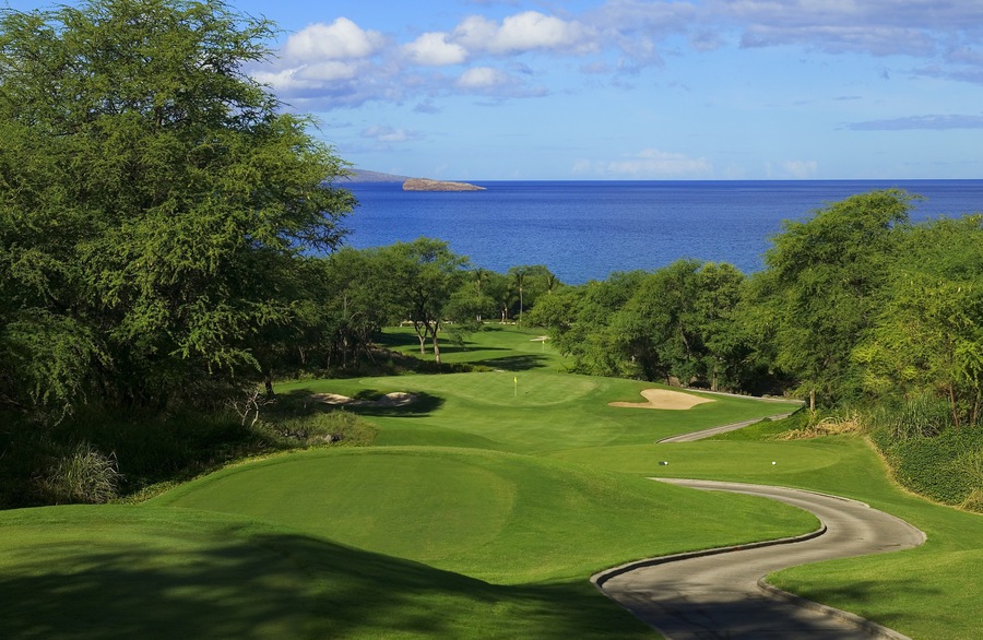 the makena beach and golf resort