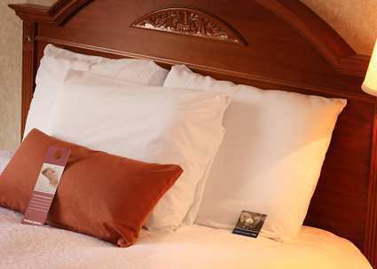 Hampton Inn Columbus I 70e Hamilton Rd Columbus Oh Jobs