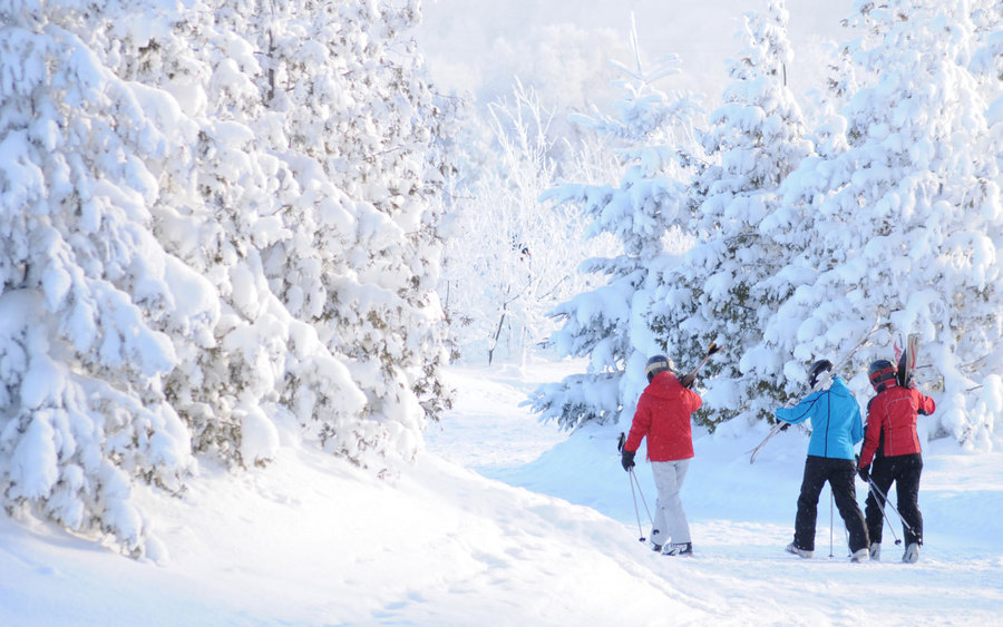 Blue Mountain Resort, Blue Mountains, ON, Canada Jobs