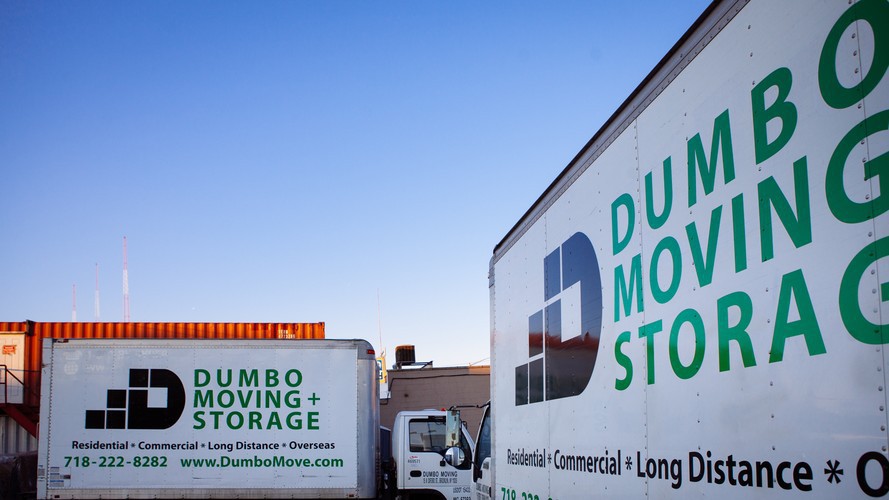 dumbo moving and storage
