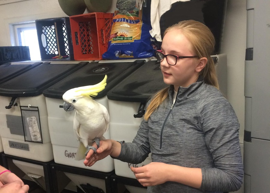 Omaha S Henry Doorly Zoo Aquarium Omaha Ne Jobs Hospitality