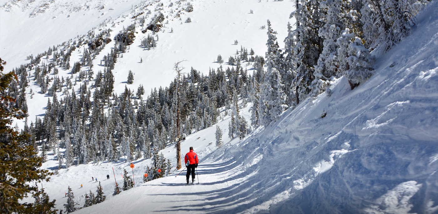 Arizona snowbowl jobs