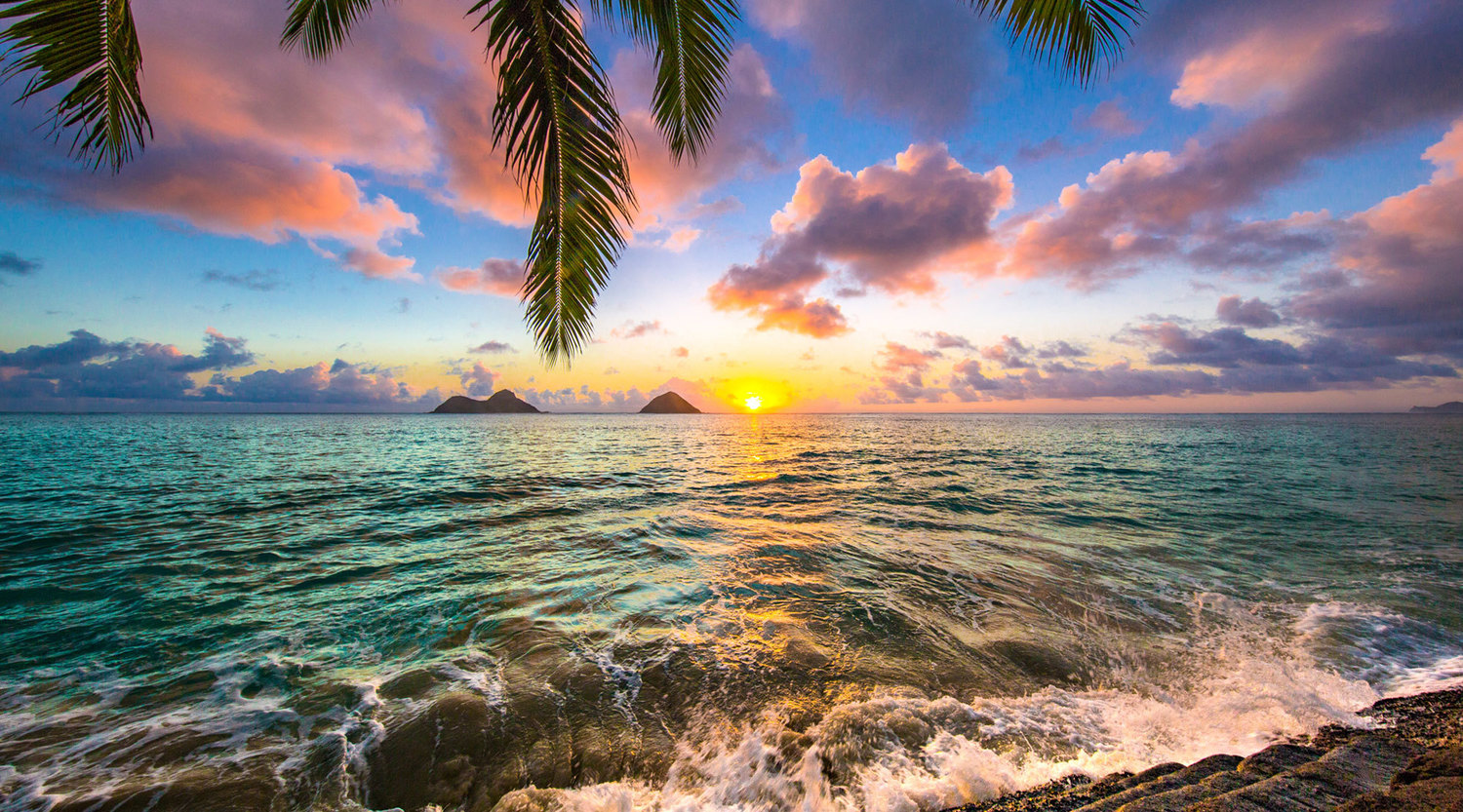 pearl-hotel-waikiki-honolulu-hi-jobs-hospitality-online
