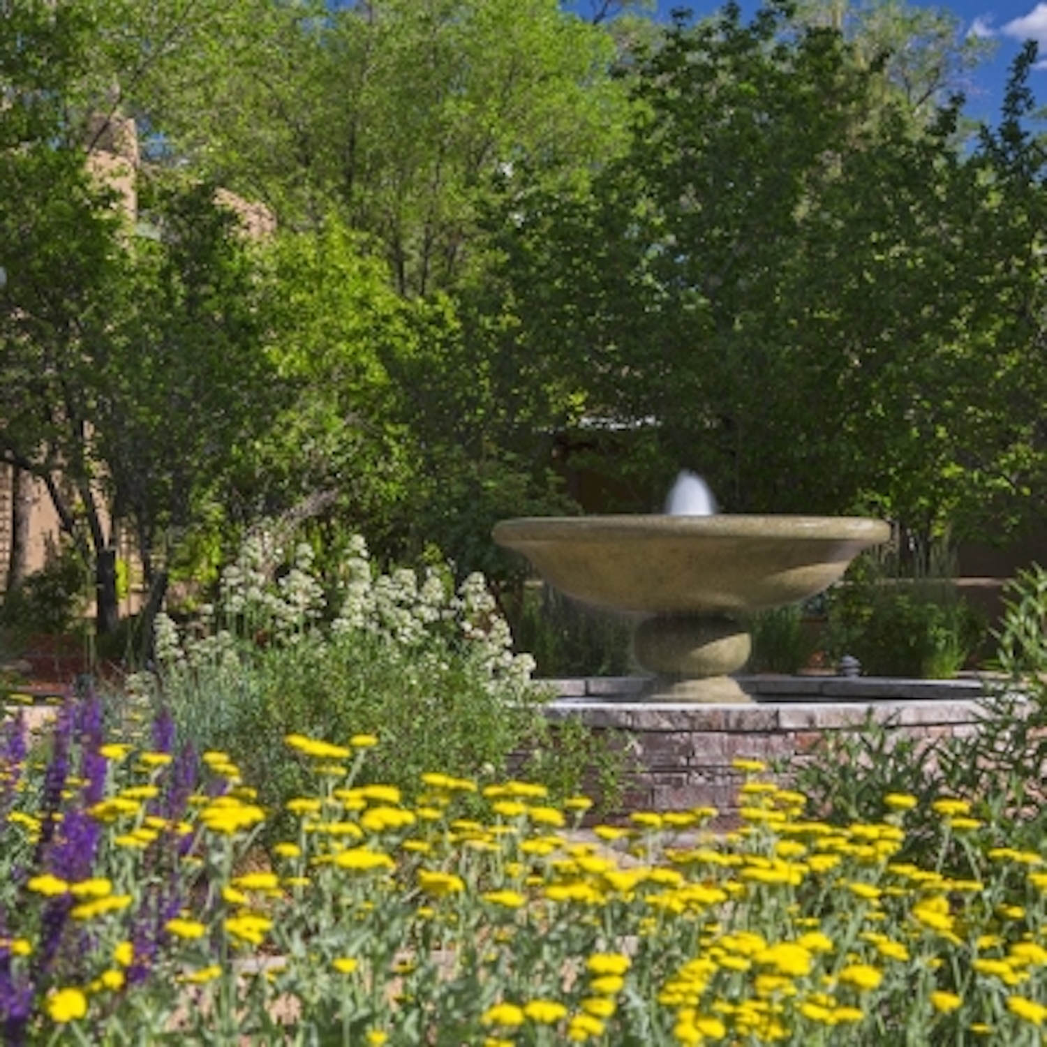 Korean Spa In Santa Claraprivacy - xyvbloh