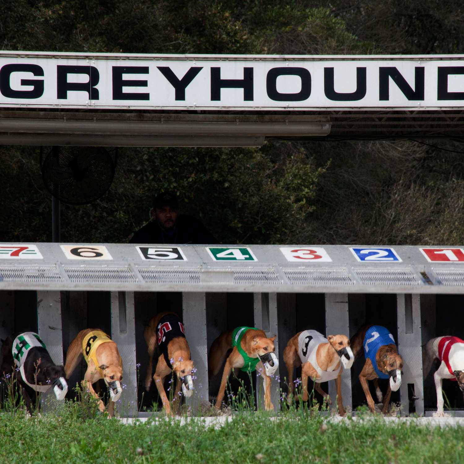 Mobile Greyhound Park, Theodore, AL Jobs Casino Careers