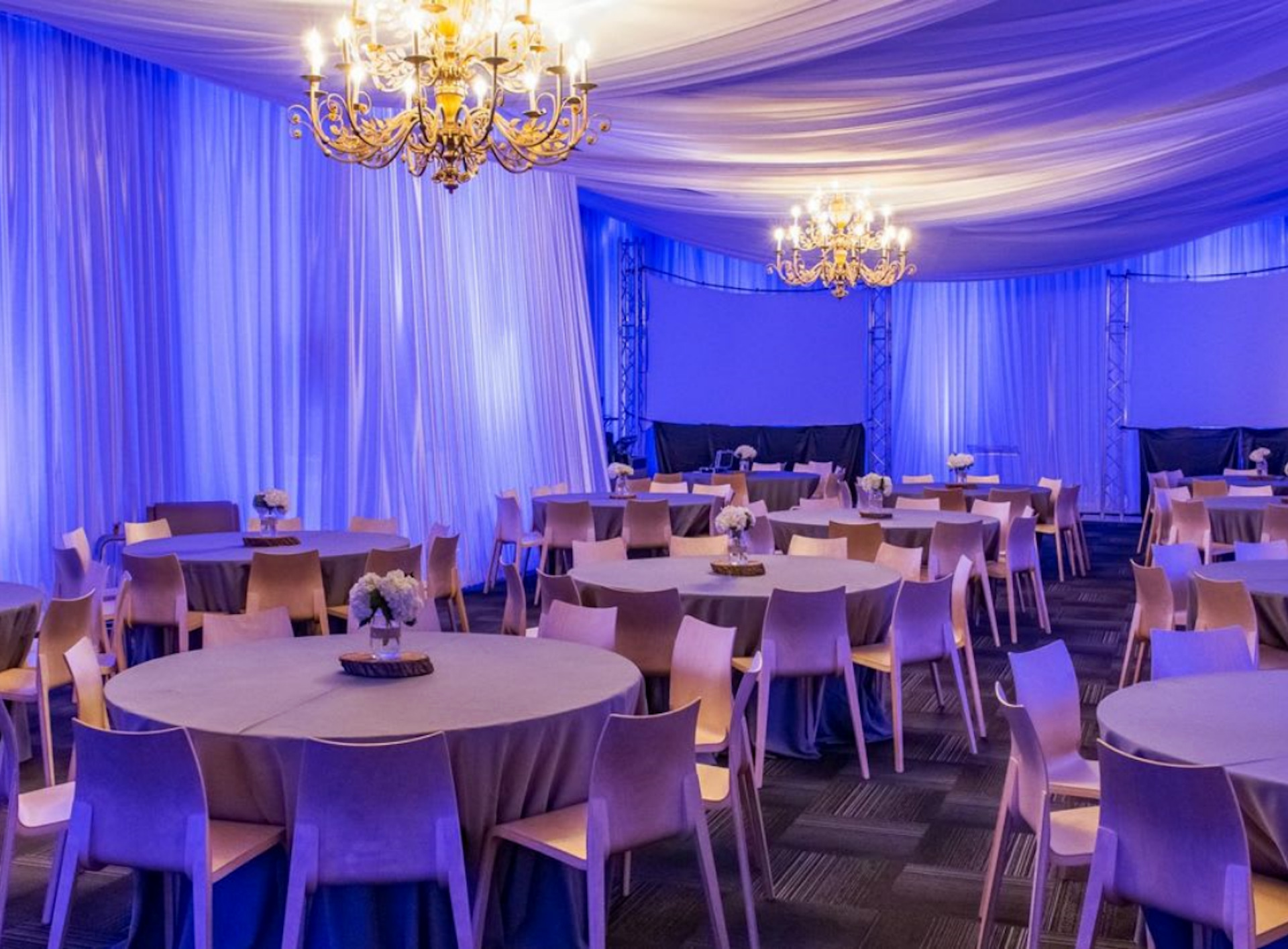 angad-arts-hotel-saint-louis-mo-jobs-hospitality-online