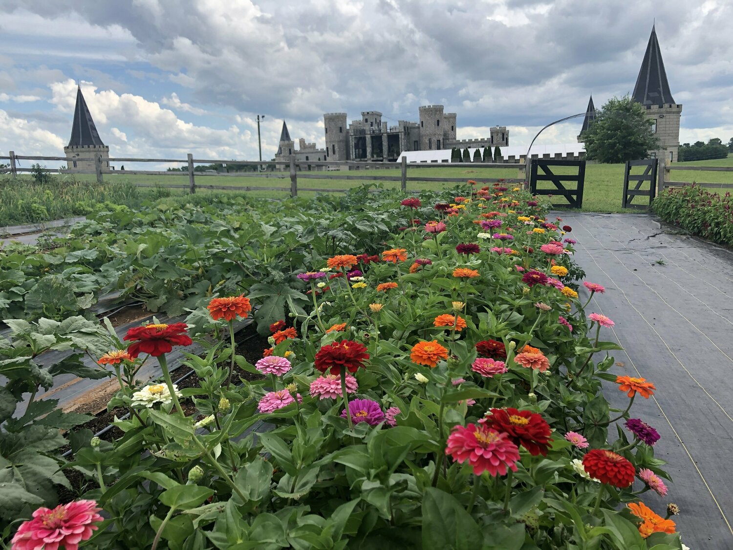 The Kentucky Castle, Versailles, KY Jobs Hospitality Online