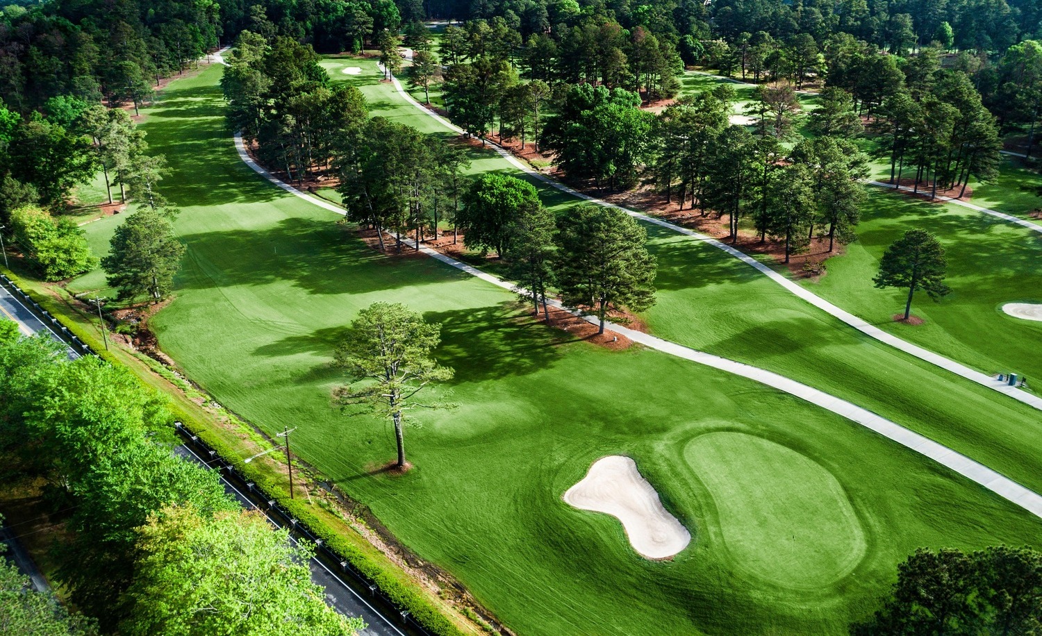 Golf Cart Attendant at Atlanta Evergreen Lakeside Resort | Crescent Hotels  & Resorts