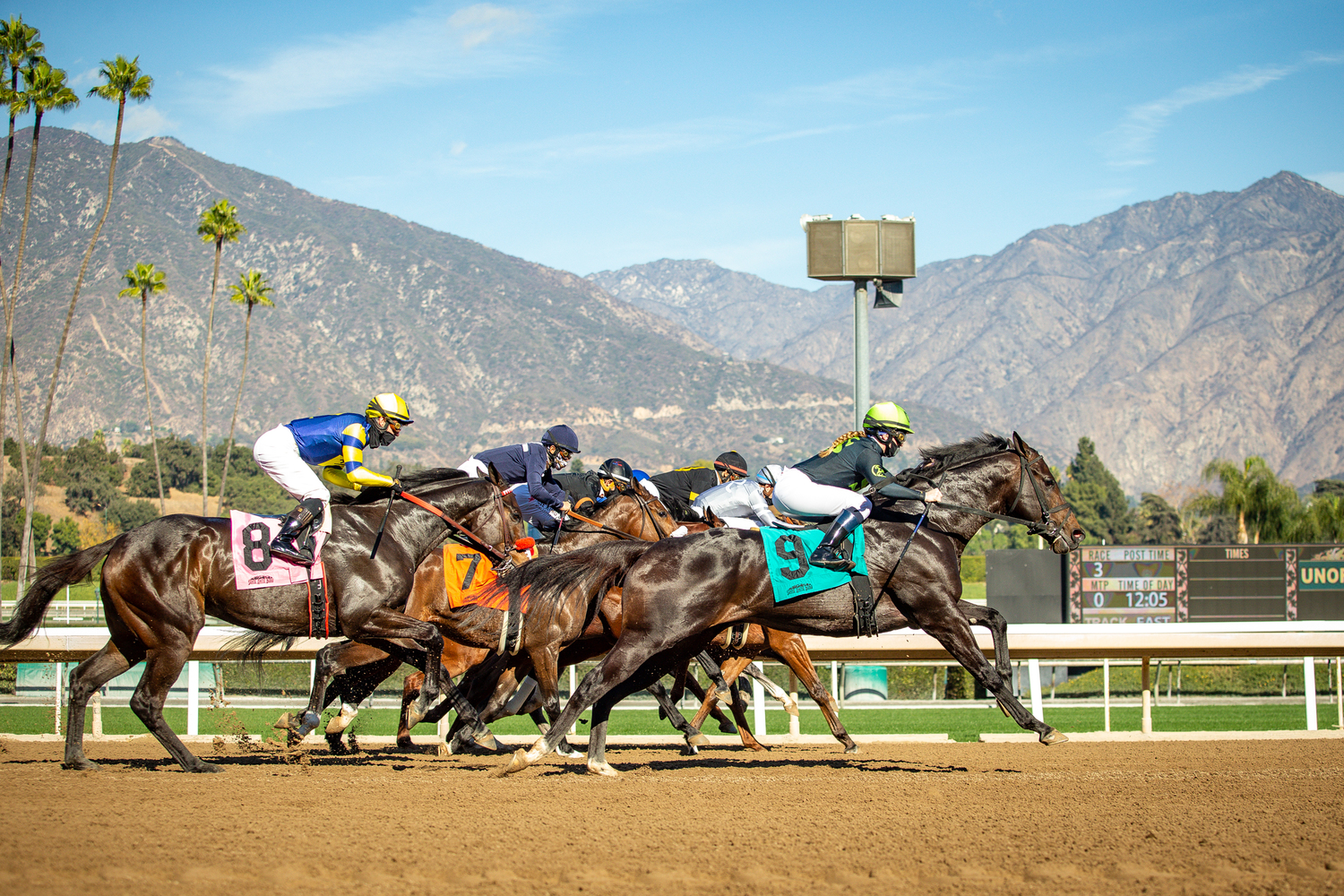 Santa Anita Park, Arcadia, CA Jobs Hospitality Online