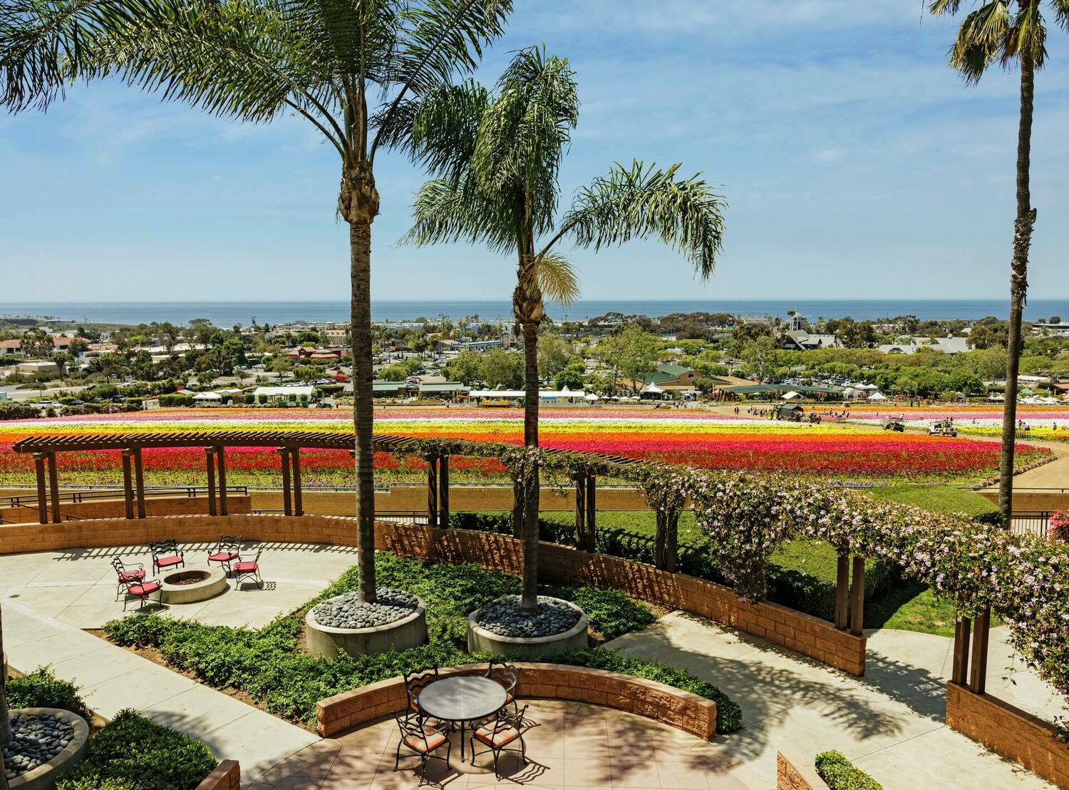 The Cassara Carlsbad, Tapestry Collection by Hilton, Carlsbad, CA Jobs