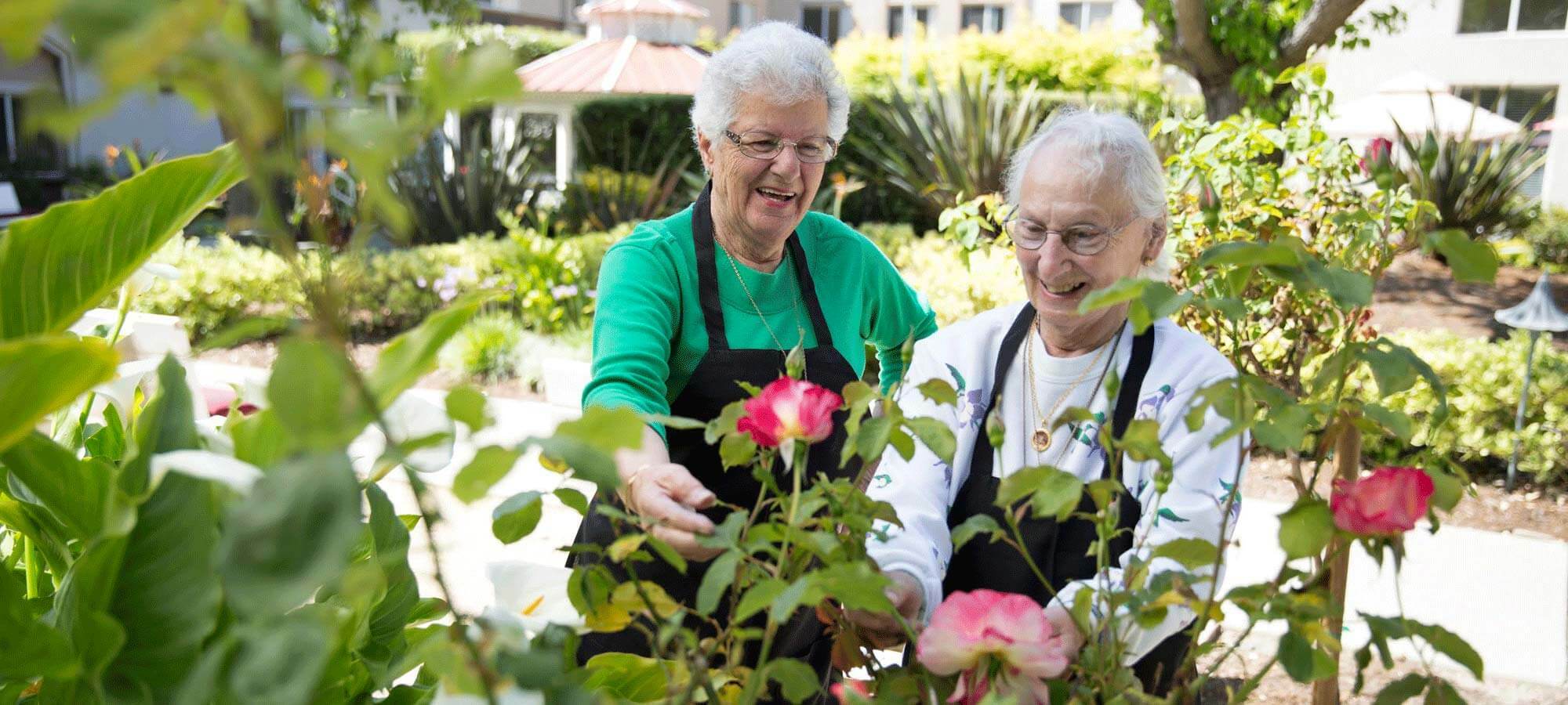 Carlton Senior Living, Elk Grove, CA Jobs Hospitality Online